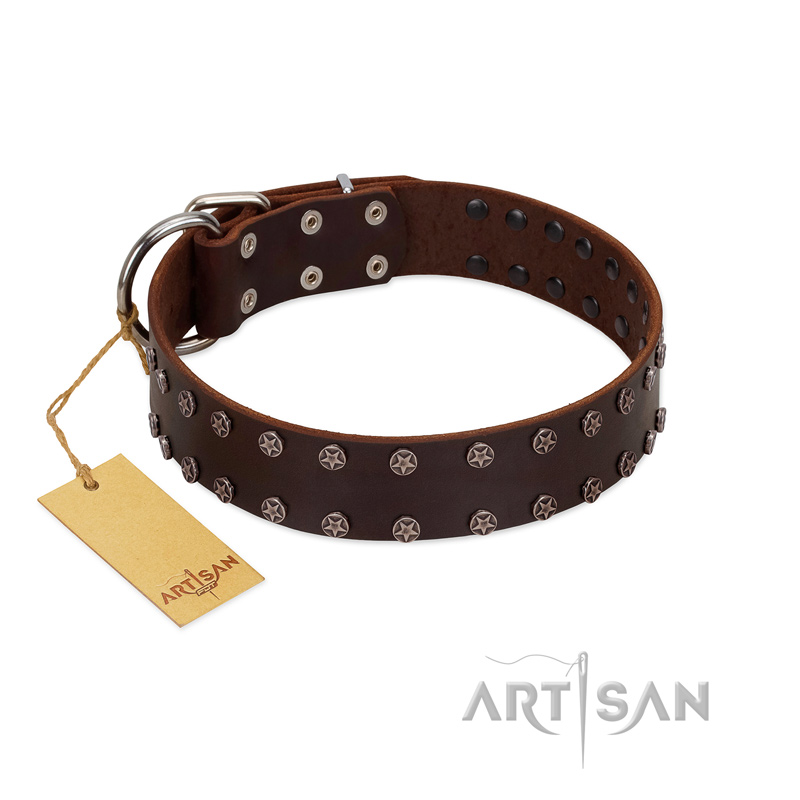 "Star Party" Handmade FDT Artisan Brown Leather Bulldog Collar with Silver-Like Studs