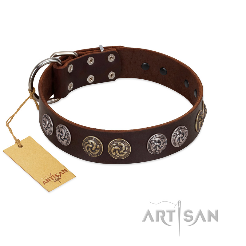 "Treasure Hunter" FDT Artisan Brown Leather Bulldog Collar with Old-Bronze-like and Silvery Medallions - Click Image to Close