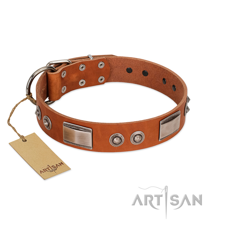 "Pawsy Glossy" FDT Artisan Exclusive Tan Leather Bulldog Collar 1 1/2 inch (40 mm) wide