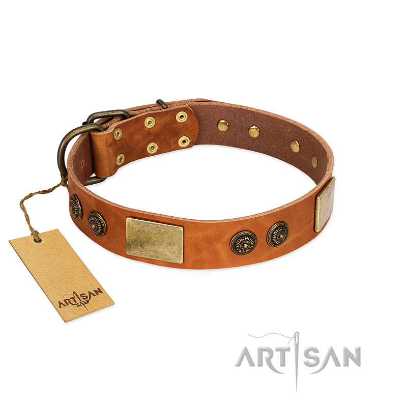 "Bronze Century" FDT Artisan Tan Leather Bulldog Collar with Plates and Brooches with Cool Ornament