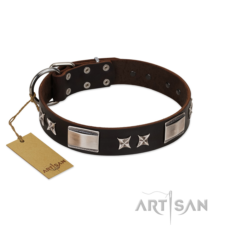 "Satin Beauts" FDT Artisan Brown Leather Bulldog Collar with Stars and Plates - Click Image to Close
