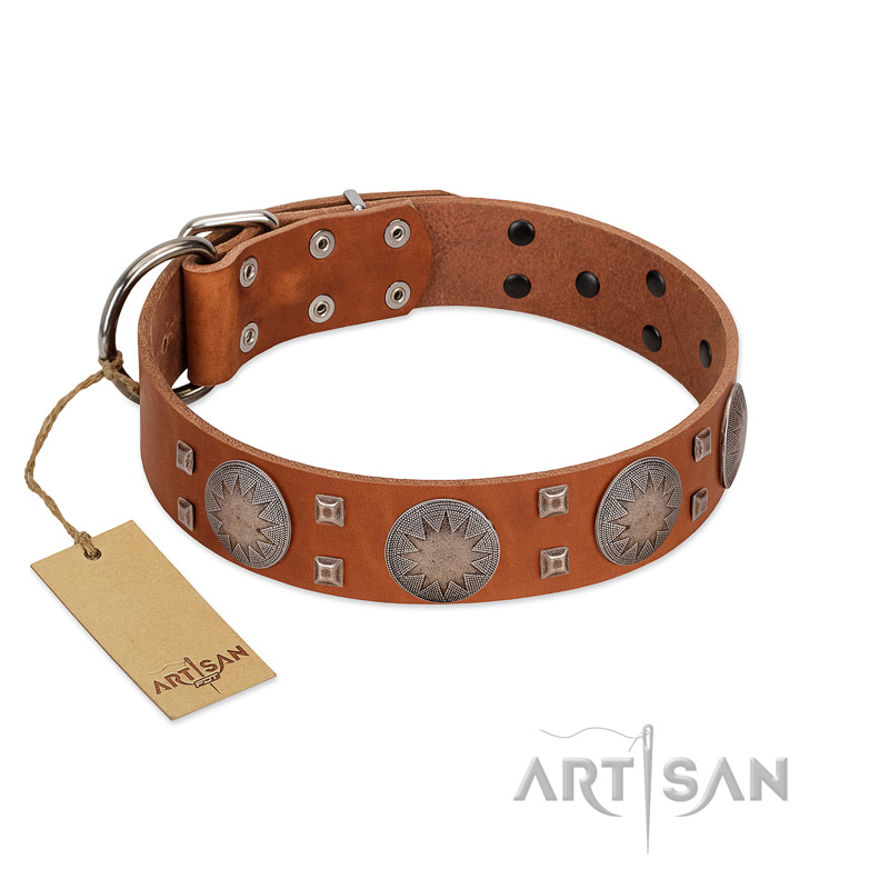 "Sun Rise Noon" FDT Artisan Tan Leather Bulldog Collar with Unique Design