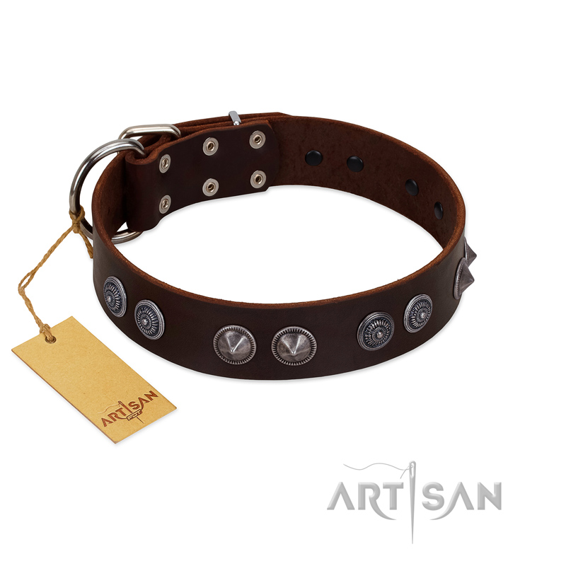 "King Arthur" FDT Artisan Brown Leather Bulldog Collar with Spiky Plates - Click Image to Close
