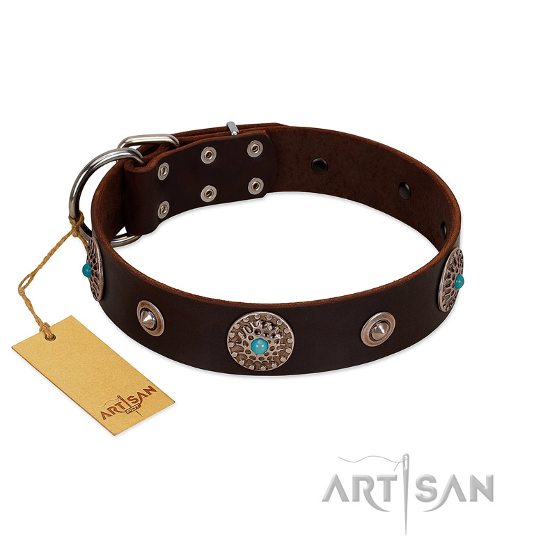 "Magic Stones" FDT Artisan Brown Leather Bulldog Collar with Chrome Plated Brooches and Studs