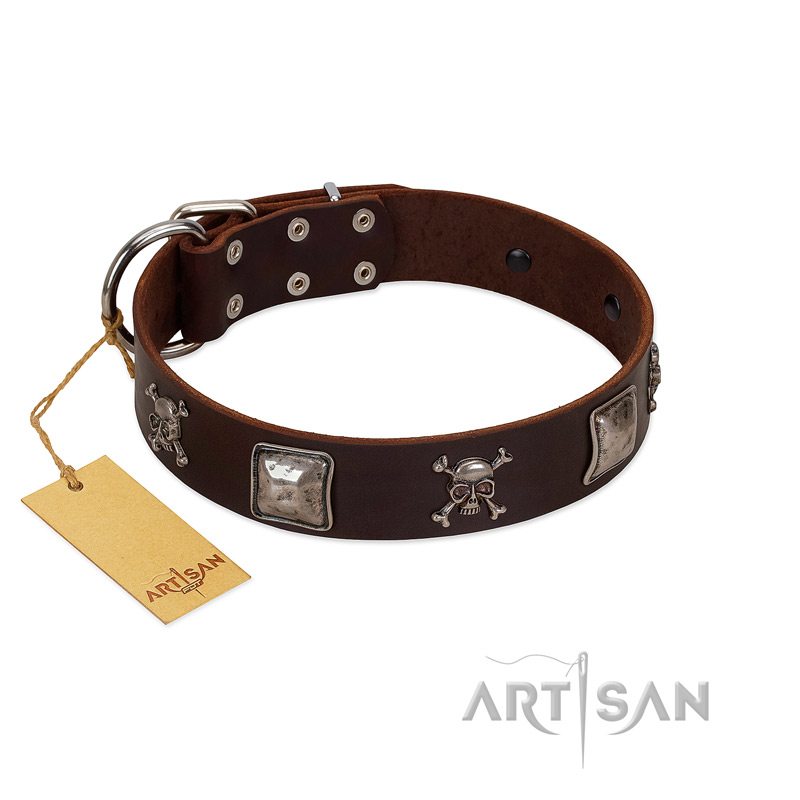 "Nut-Brown Finery" Embellished FDT Artisan Brown Leather Bulldog Collar with Chrome Plated Crossbones and Plates