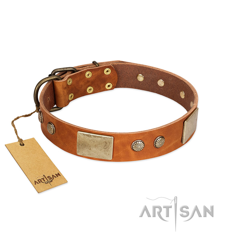 "Ancient Treasures" FDT Artisan Tan Leather Bulldog Collar with Antiqued Plates and Studs