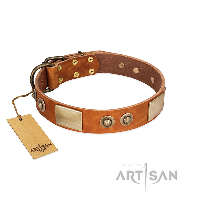 "Perfect Blend" FDT Artisan Tan Leather Bulldog Collar 1 1/2 inch (40 mm) wide