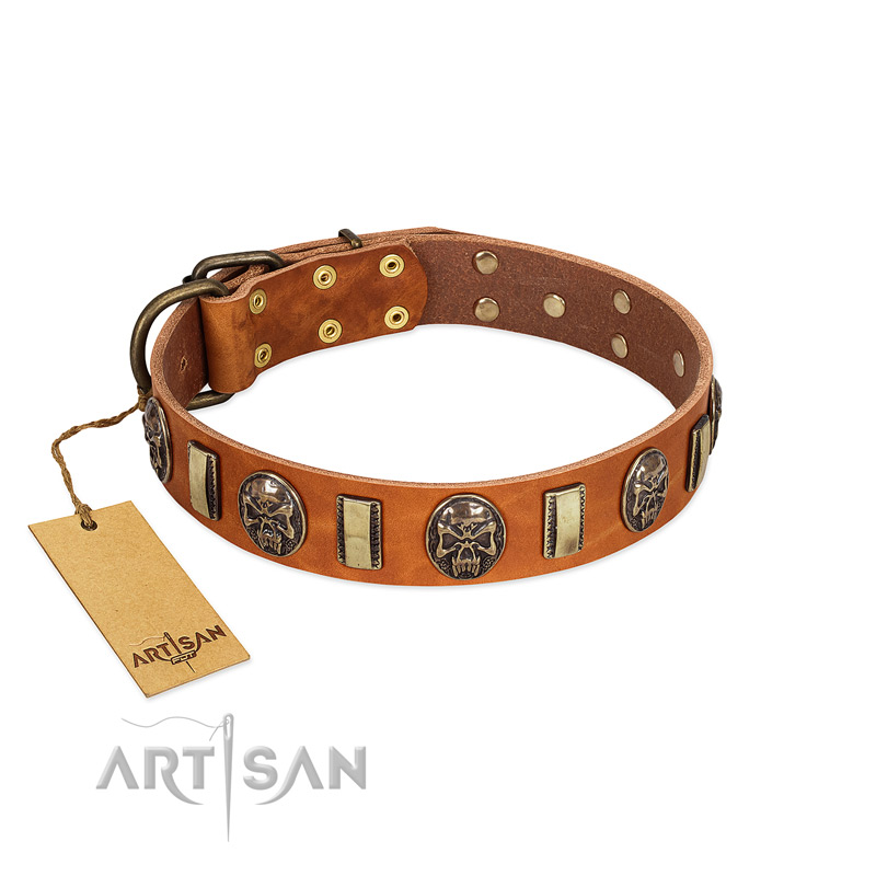 "Strike of Rock" FDT Artisan Tan Leather Bulldog Collar with Plates and Medallions with Skulls