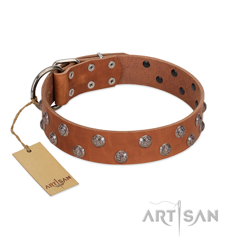 "Waltz of the Flowers" Handmade FDT Artisan Tan Leather Bulldog Collar with Chrome-plated Engraved Studs