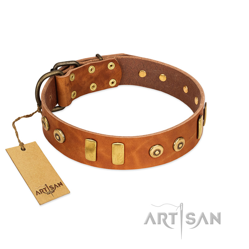 "Egyptian Script" FDT Artisan Tan Leather Bulldog Collar with Plates and Small Studs