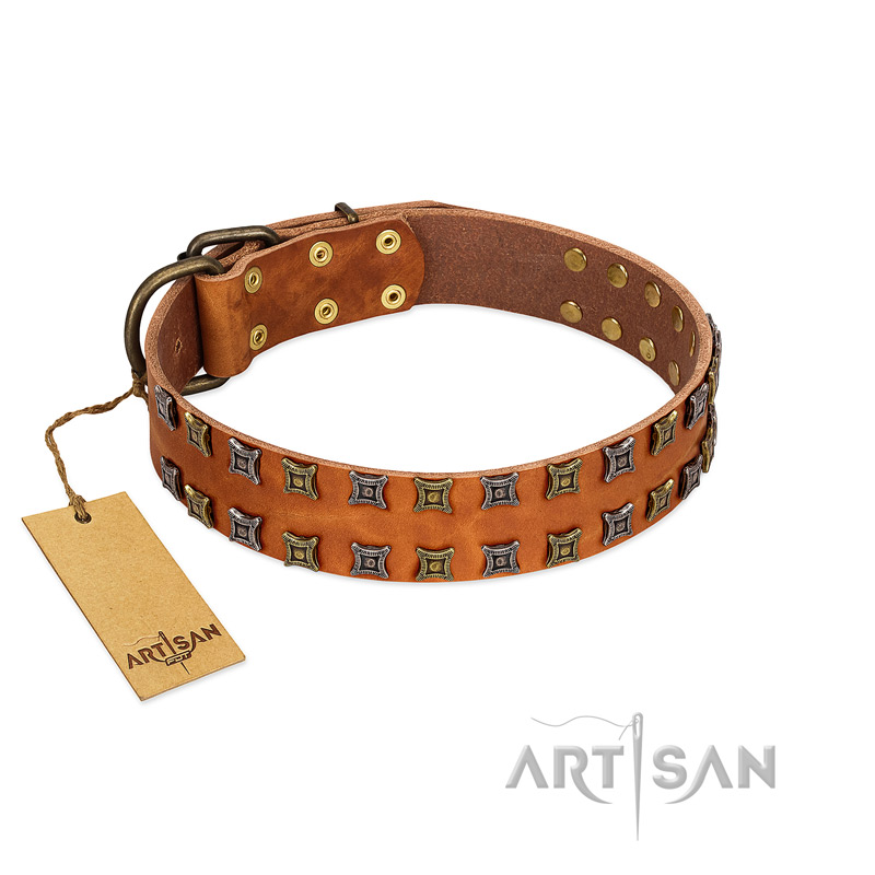 "Terra-cotta" FDT Artisan Tan Leather Bulldog Collar with Two Rows of Studs