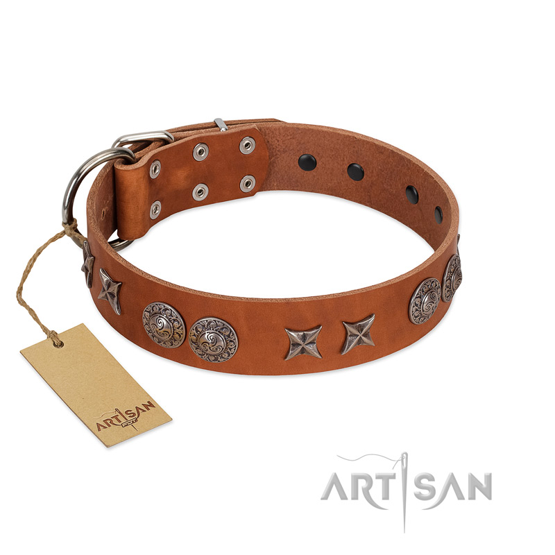 "Splendid Armor" Premium Quality FDT Artisan Tan Designer Bulldog Collar with Shields and Stars