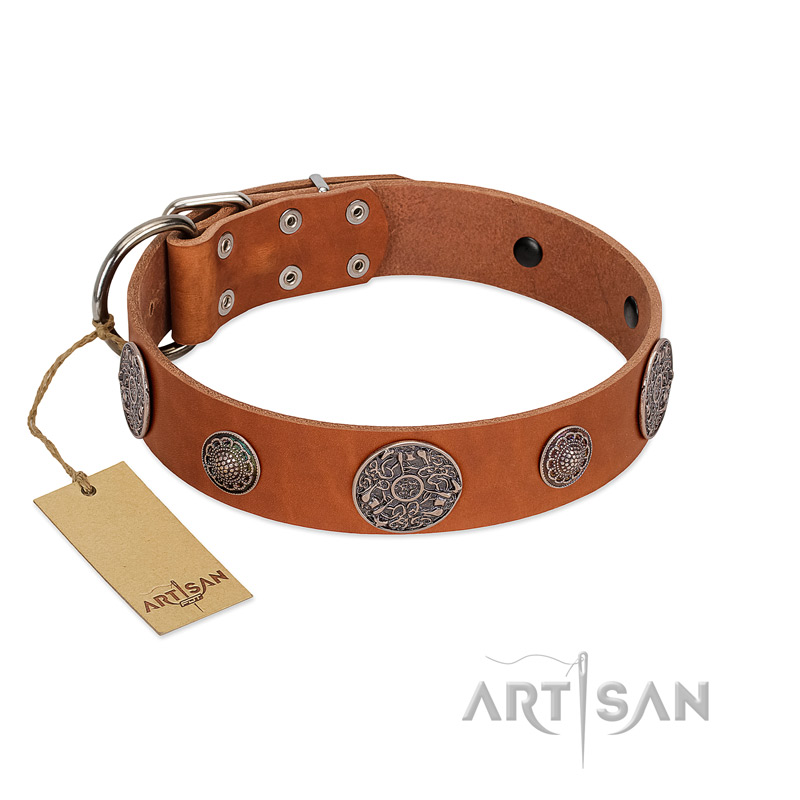"Foxy Nature" FDT Artisan Tan Leather Bulldog Collar with Chrome Plated Brooches
