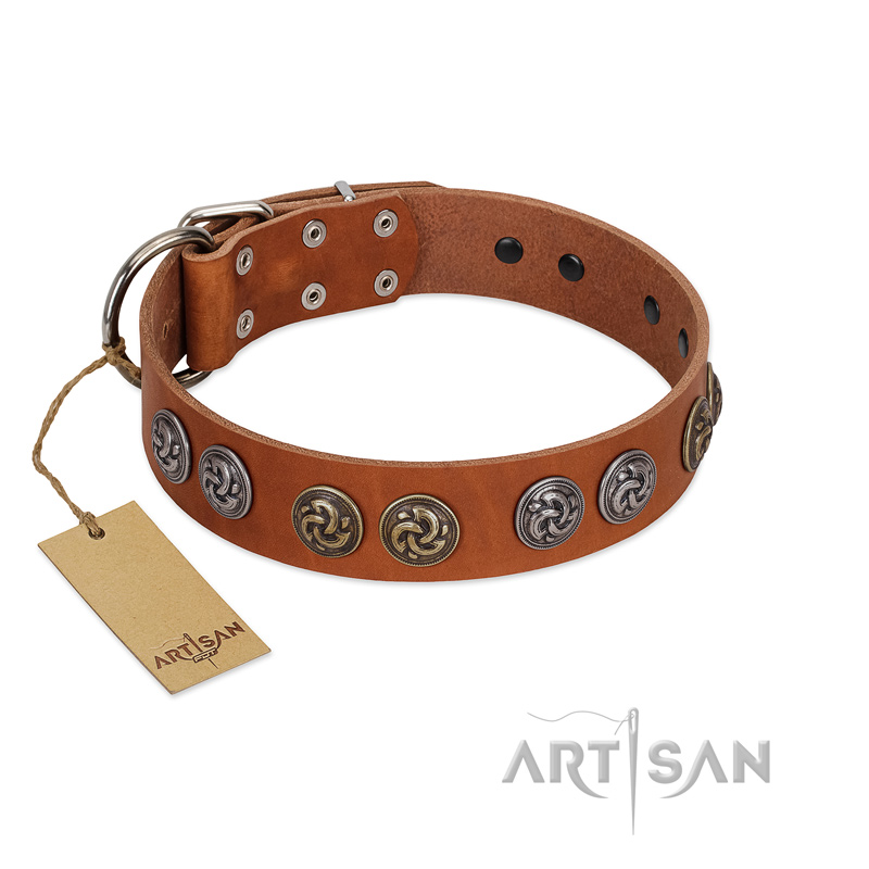 "Luxurious Life" Premium Quality FDT Artisan Tan Leather Bulldog Collar with Round Adornments