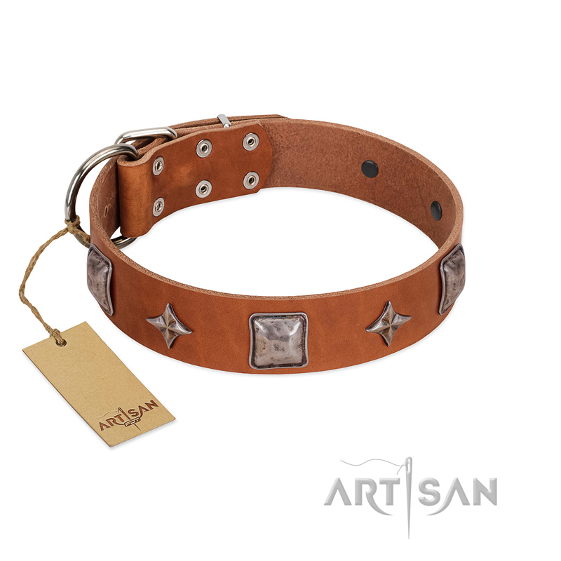 "Lucky Star" FDT Artisan Tan Leather Bulldog Collar with Silver-Like Embellishments