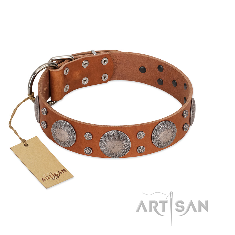 "Far Star" FDT Artisan Tan Leather Bulldog Collar with Engraved Studs