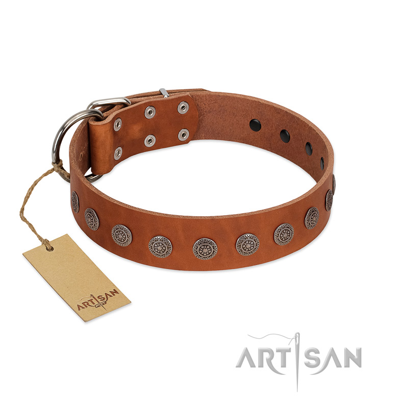 "Lucky Star" Handmade FDT Artisan Designer Tan Leather Bulldog Collar with Round Plates