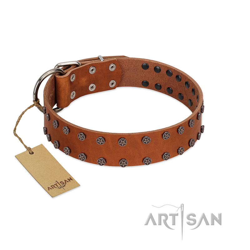 "Star Light" Stylish FDT Artisan Tan Leather Bulldog Collar with Silver-Like Studs