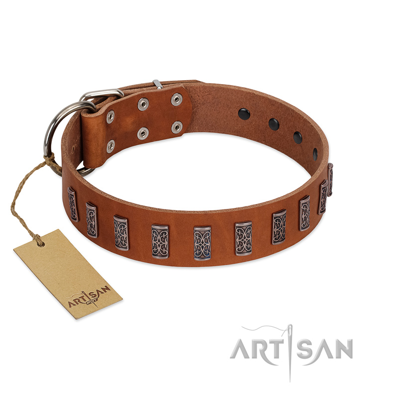 "Silver Century" Fashionable FDT Artisan Tan Leather Bulldog Collar with Silver-Like Plates