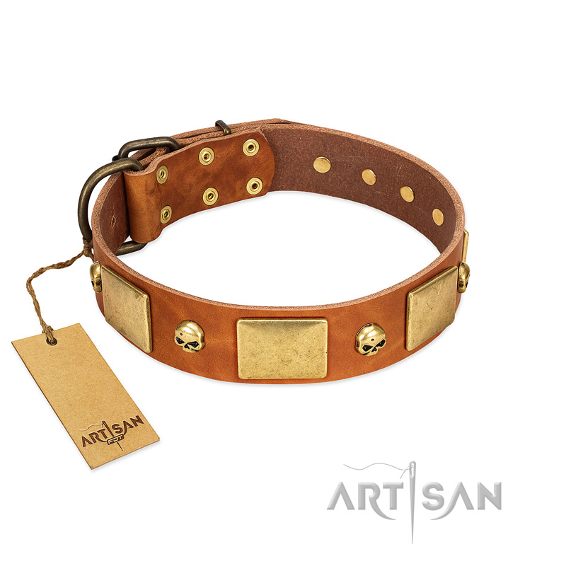 "Mutt The Daredevil" FDT Artisan Tan Leather Bulldog Collar with Old Bronze-like Skulls and Plates