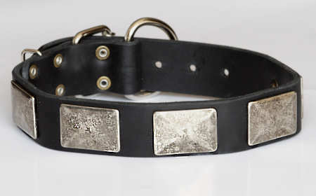 Handcrafted Leather Dog Collar With Vintage Plates