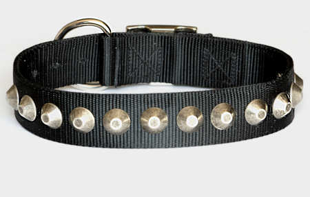 Gorgeous Wide Nylon Dog Collar With Nickle Pyramids