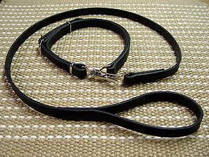 Police / hunting" dog leash and collar (combo)