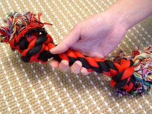 2-Knot Fiber Bons to Keep Teeth Clean And Tartar Free