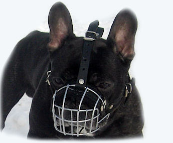 basket muzzle for french bulldog