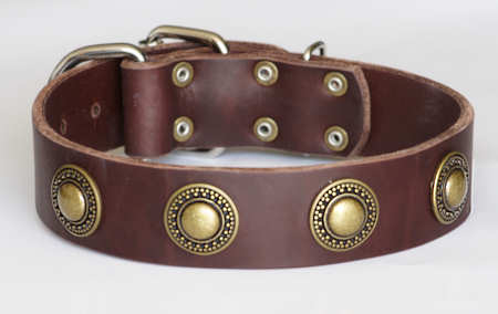 Leather Dog Collar with silver conchos- black,brown,tan colors