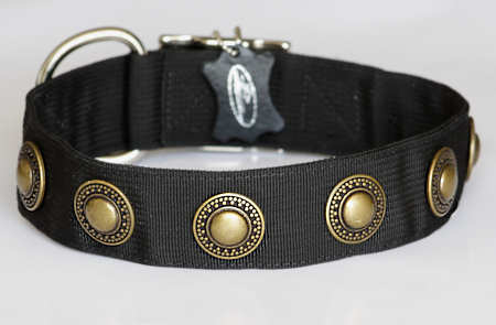 Nylon Dog collar with silver conchos