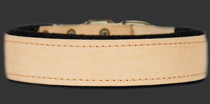 1.5 inch width PADDED LEATHER DOG COLLAR 3.8 cm width Collar