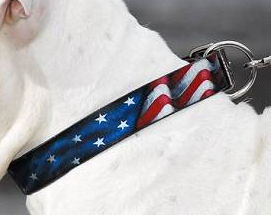 usa leather dog collar for Bulldog 