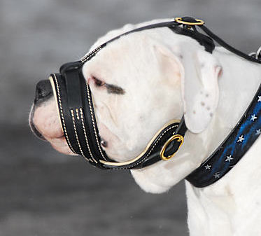 Valley Bulldog Royal Nappa Leather Dog Muzzle-Anti Barking