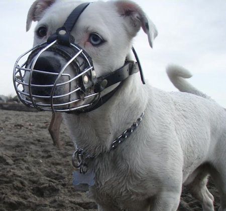 High Quality Bulldog Wire Basket Muzzle for Effective Training