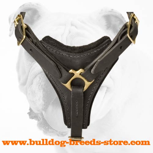 Durable Training Leather Bulldog Harness<