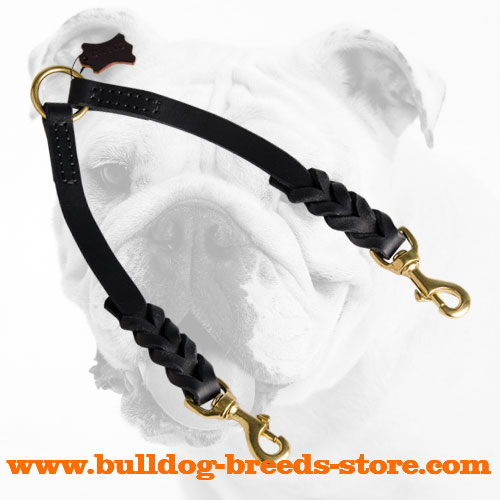 High Quality Braided Leather Dog Coupler for Walking Bulldogs