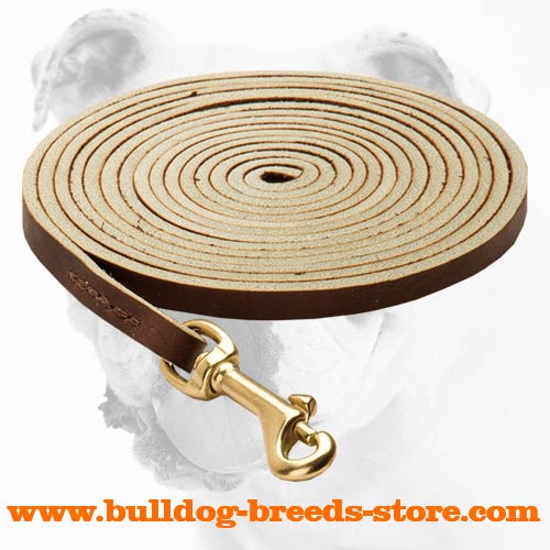 Durable Leather Dog Leash for Bulldog