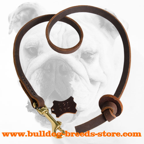 Properly Stitched Training Leather Bulldog Leash