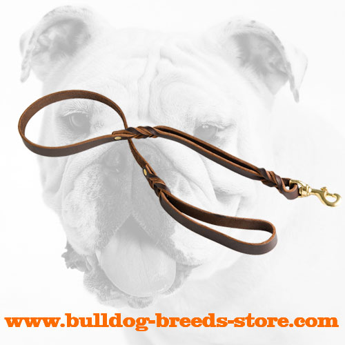 Braided Training Leather Bulldog Leash with 2 Handles