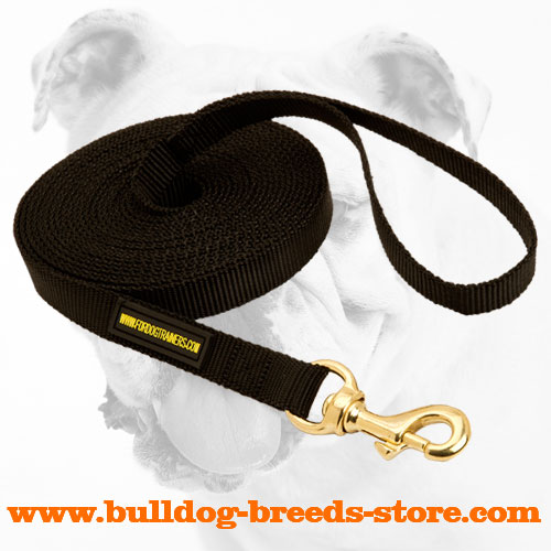 Extra Strong Training Nylon Dog Leash for Bulldog