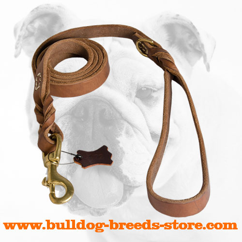 Best Training Leather Dog Leash for Bulldogs