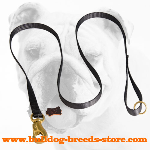 Strong Walking Nylon Bulldog Leash