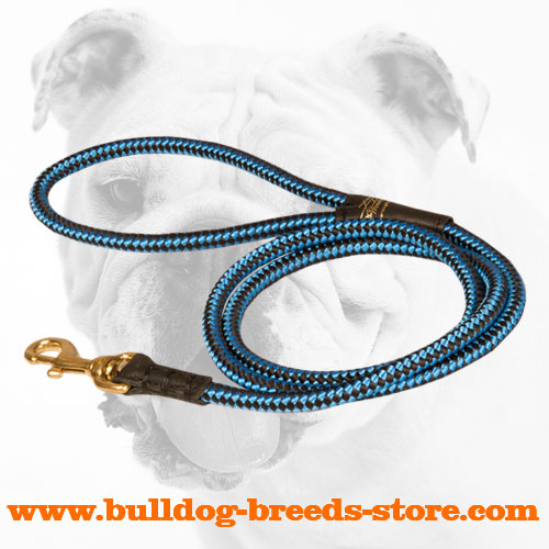 Fashionable and Bright Cord Nylon Bulldog Leash