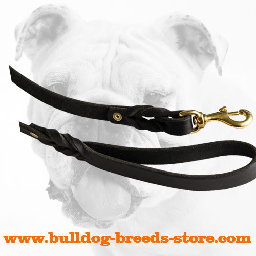 Rust Proof Snap Hook on a Leather Bulldog Leash