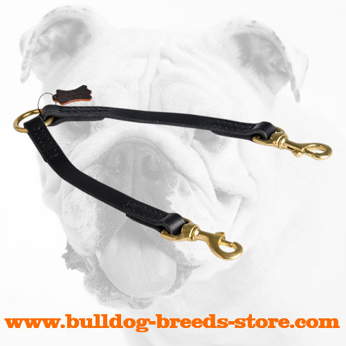 Best Walking Leather Bulldog Coupler