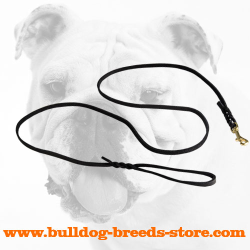 Walking Leather Bulldog Lead