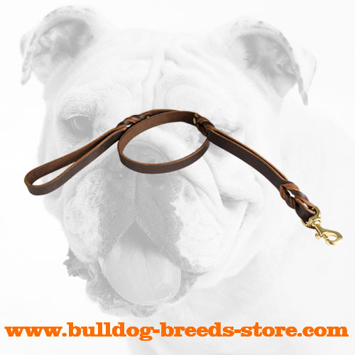 Walking Leather Dog Lead for Bulldog