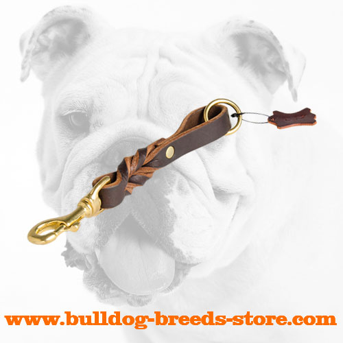 Hand-Made Braided Training Short Leather Bulldog Leash