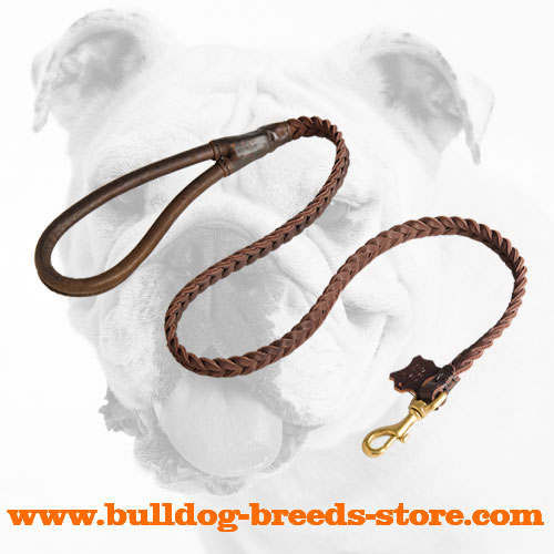 Tracking Braided Leather Dog Leash for Bulldog